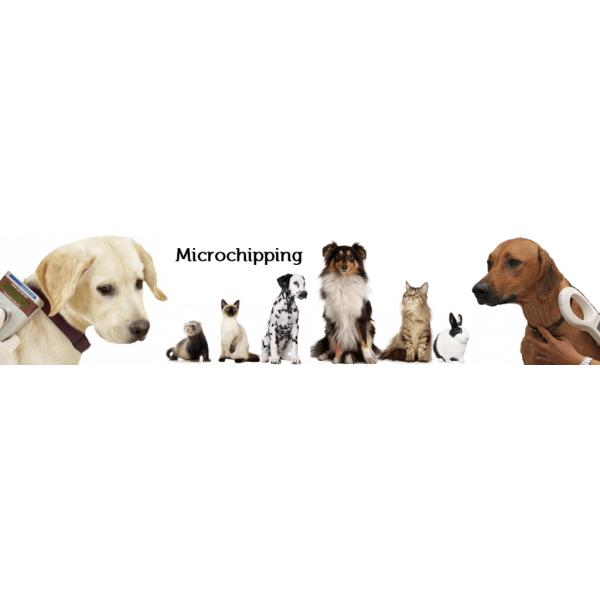 LF 134.2K / 125K Implantable Rfid Tag Rfid Glass Tag Electronic Identification