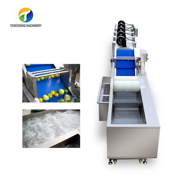 Customization Ozone Sterilization Fruit And Vegetable Processing Line Dry