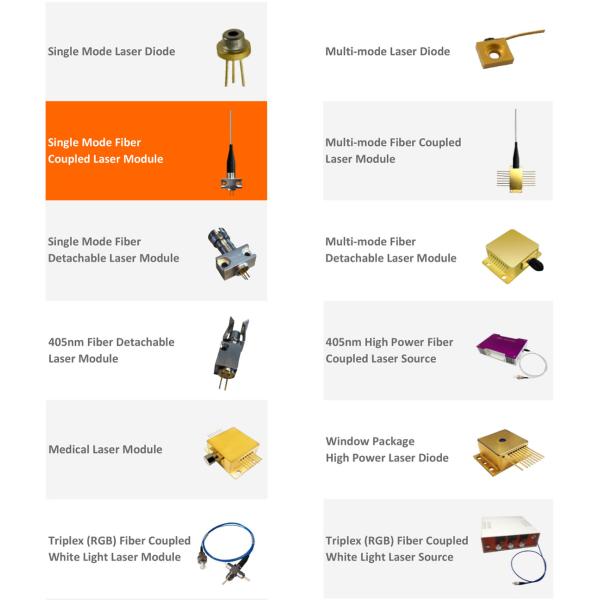 Single Mode Fiber Coupled Laser Diodes Multi Mode Detachable Fiber Laser Module
