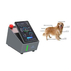 China Dogs Professional Laser Equipment CW Mode Level 4 980nm on sale
