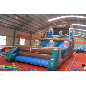 Wild Rapids Inflatable Dry Slide, Commercial Grade Giant Blow Up Slide