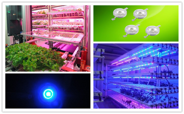 3w 3v 3.4v 45mil 35Mil Blue High Power Led Module 455nm 460nm 470nm