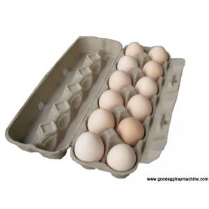 Single Layer Pulp Moulding Pulp Moulding Drying Line