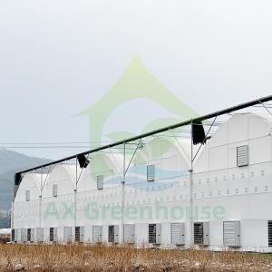 Hot Sale Customized Poly Tunnel Multi-span UV Resistant Film Greenhouses for