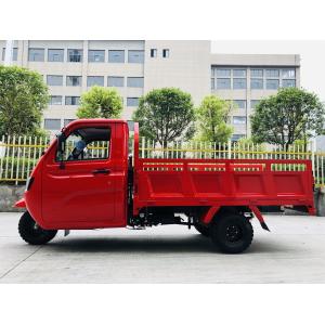 DAYANG 2021 Popular Three Wheel Motorcycle Cargo Tricycle 250cc 3 Wheel Gas