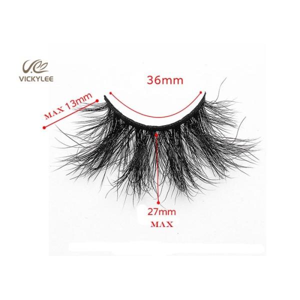 Fan Shaped Whole Strip Cotton Stalk 5D Volume Lashes
