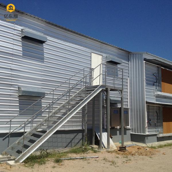 Galvanized Steel Structure Poultry House for 20 Chickens