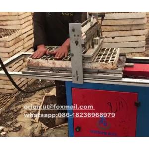Manufacturing Plant Seeding Vegetable Seeds Sowing Machine with High Survival