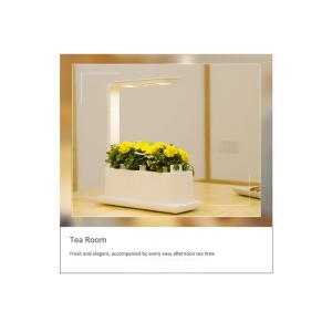 318mm Vegetable Planting 12V 9W Home Hydroponics Kit