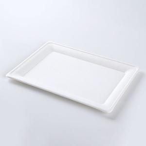 Biodegradable Food Container Rectangular Bagasse Plates