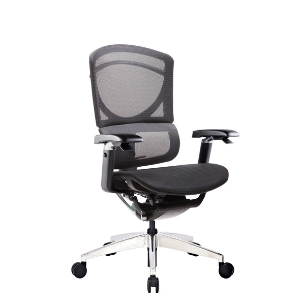 Dynamic Support Ergo Mesh Manager Chair 5D Paddle Shift Control Adjustable