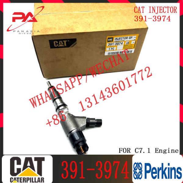 Buy C-aterpillar Excavator Common Rail Fuel Injector 0445120348 20R-4560 391-3974 for C-AT car at wholesale prices