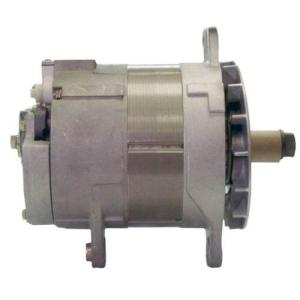 Quality Alternator 48v A0014417JB for sale
