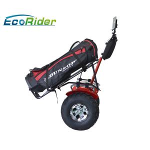 Electric Self Balancing Scooters 21 inch big tire 2 wheel s4000w Segway