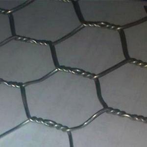 Galvanized Wire Mesh/Chicken Wire Mesh with Hexagonal Wire Netting