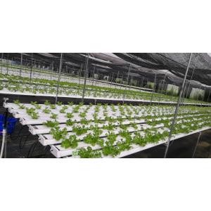 NFT System Vertical Hydroponics Garden Automatic Humidity Control