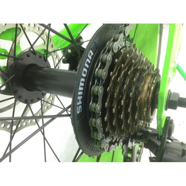 OEM 21 Speed 20 Inch Fat Tire Electric Bike
