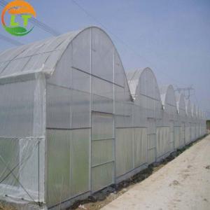 Commercial Greenhouse Hydroponic Planting System for Industrial Needs