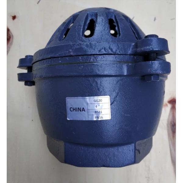 foot valve with material cast iron GG20 BS21 PN16