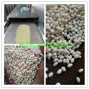 Tunnel type Microwave Drying Equipment Microwave Dryer For Grains And Beans