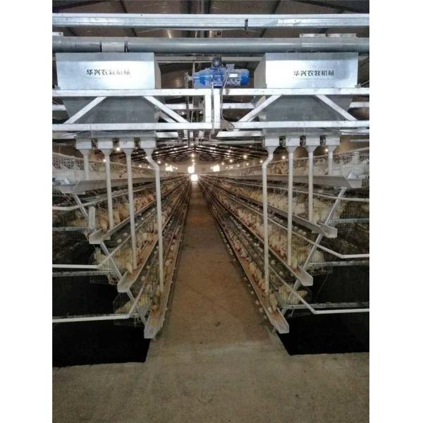 Buy Electrostatic Spray Automatic Poultry Feeder System Fast PE Pipe Conveying at wholesale prices
