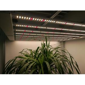 Foldable Igrowbio 860W High PPFD LED Grow Light