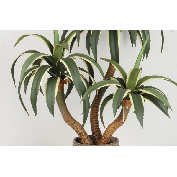 66 CM 86 CM 88 CM Artificial Agave Americana For Home Decoration