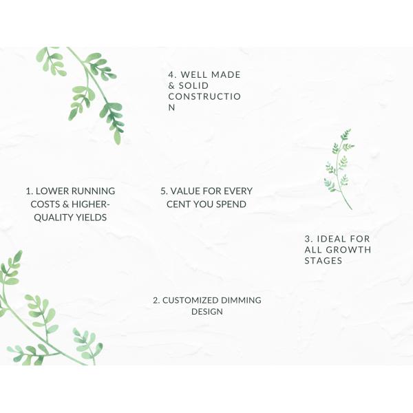 Vegetable Seedling Hydroponics LED Grow Lights SMD 800w 2.8μmol/J