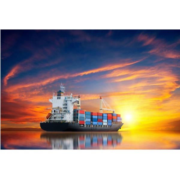 Buy Customs Clearance DDP Sea Shipping From China To USA Canada at wholesale prices