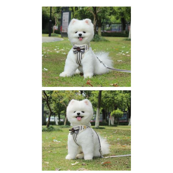 Wholesales Adjustable No-pull Pet Saddle Vest Pet product Cheap Dog Dress Pet Accessories Dog Harness And Leash