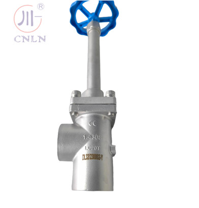 CF3/CF8 Stainless Steel DN15/DN32/DN40 PN50 Cryogenic Globe Valve Angle Type For
