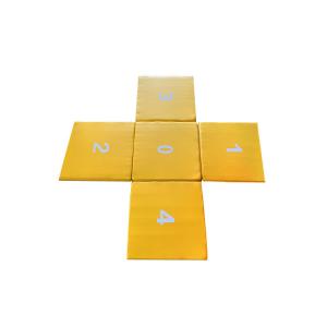 EPE Pearl Cotton Liner 100" X50" X5" Foldable Gymnastics Mats