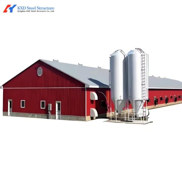Commercial Steel Structure Poultry House with Feeding & Drinking Systems