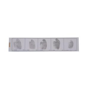 E039 Left hand fingerprint record strip