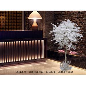 2M Artificial White Ficus Tree