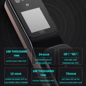 Automatic Fingerprint Wifi Bluetooth App Face Recognition Door Locks
