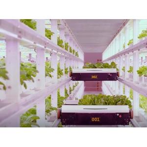 Leafy Vegetable Shipping Container Garden with Shaped Roof and Customization