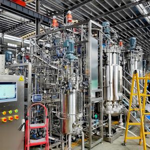 1500L Reactor Stainless Steel Mechanical Stirring Bioreactor BLBIO 1500SJA