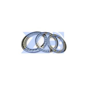 China Excavator Angular Contact Bearing BN220-1 220-1 220x280x28mm on sale