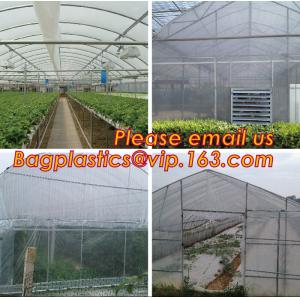 Agricultural Mulching Film Used for Fruit, Flower and Vegetable