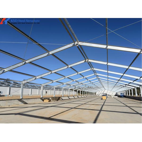 Steel Frame Piggery Shed Construction Long Span Steel Poultry Buildings