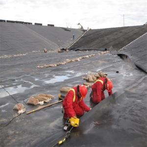 Impervious Geomembrane Double Textured HDPE Geomembrane for Lagoon Onsite