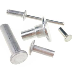 Flat Truss Head Custom Fasteners Solid Aluminum Rivets For Metal Sheet