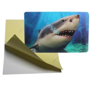 PLASTIC LENTICULAR Wholesales Halloween OEM Competitive Price 3d flip card