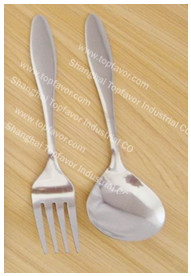 Stainless Steel Spoon & Fork