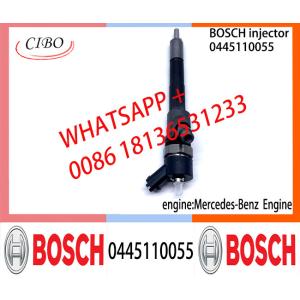 Diesel Common Rail Injector 0445110054 0445110055 0445110137 0445110138