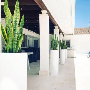 Get the Best Deals on Durable and Stylish Fiberglass Flower Pots for Your Garden