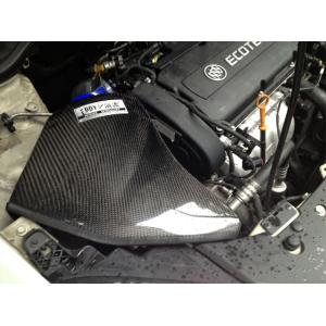 EDDY Boost Power With CF-R Air Intake Purchase For Buick Series