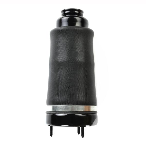 W164 X164 1643206013 Front Air Suspension Spring