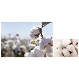 Girls / Ladies Hooded Sweatshirts , Black / Yellow / White Cotton